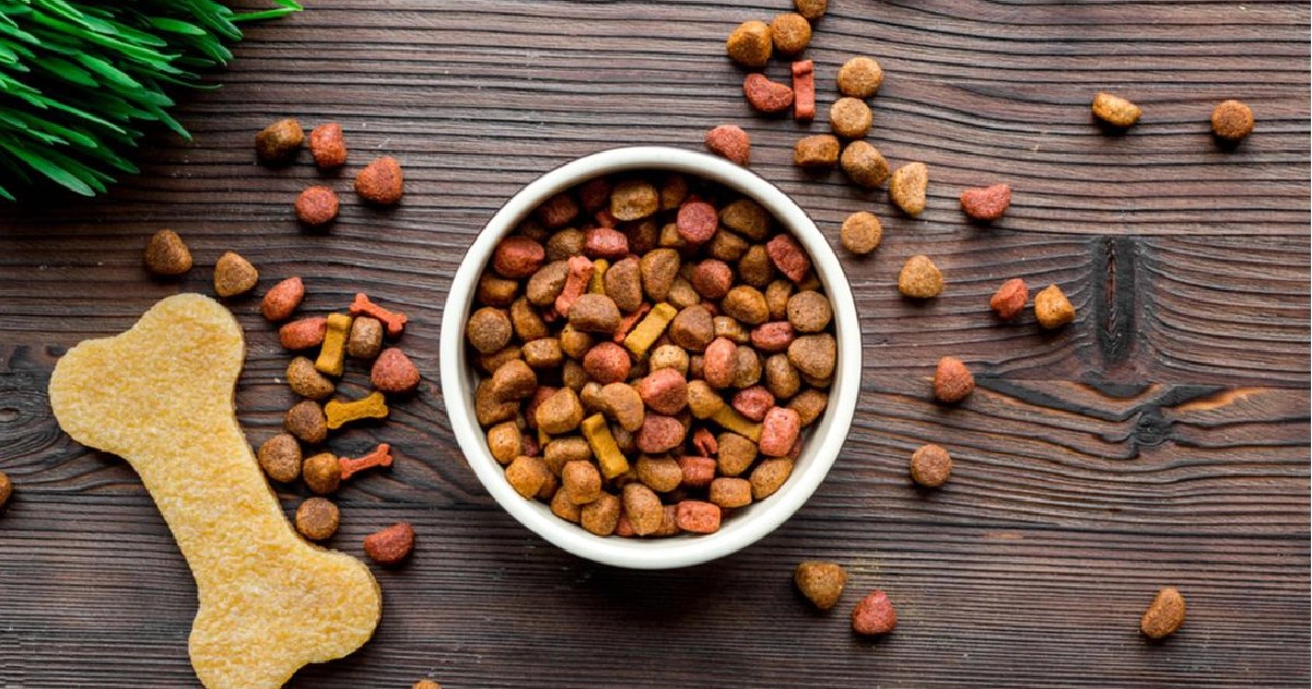 Can New Dog Food Cause Diarrhoea