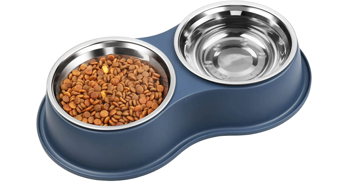 Cat Food Bowl