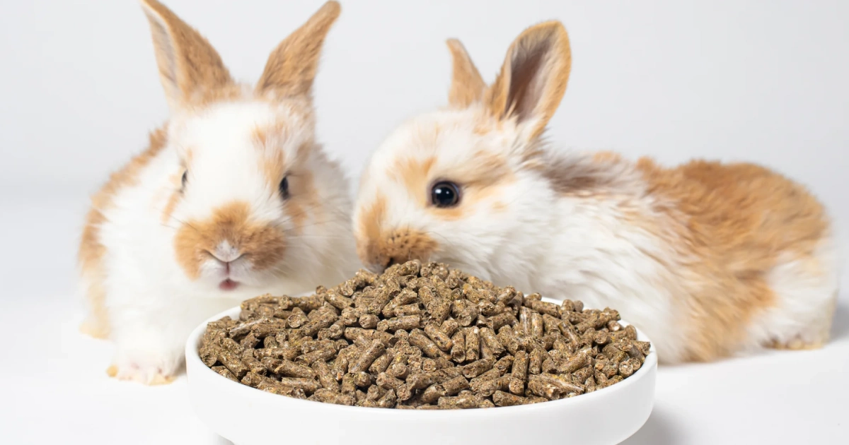 What Is The Nutritional Value Of Rabbit Food