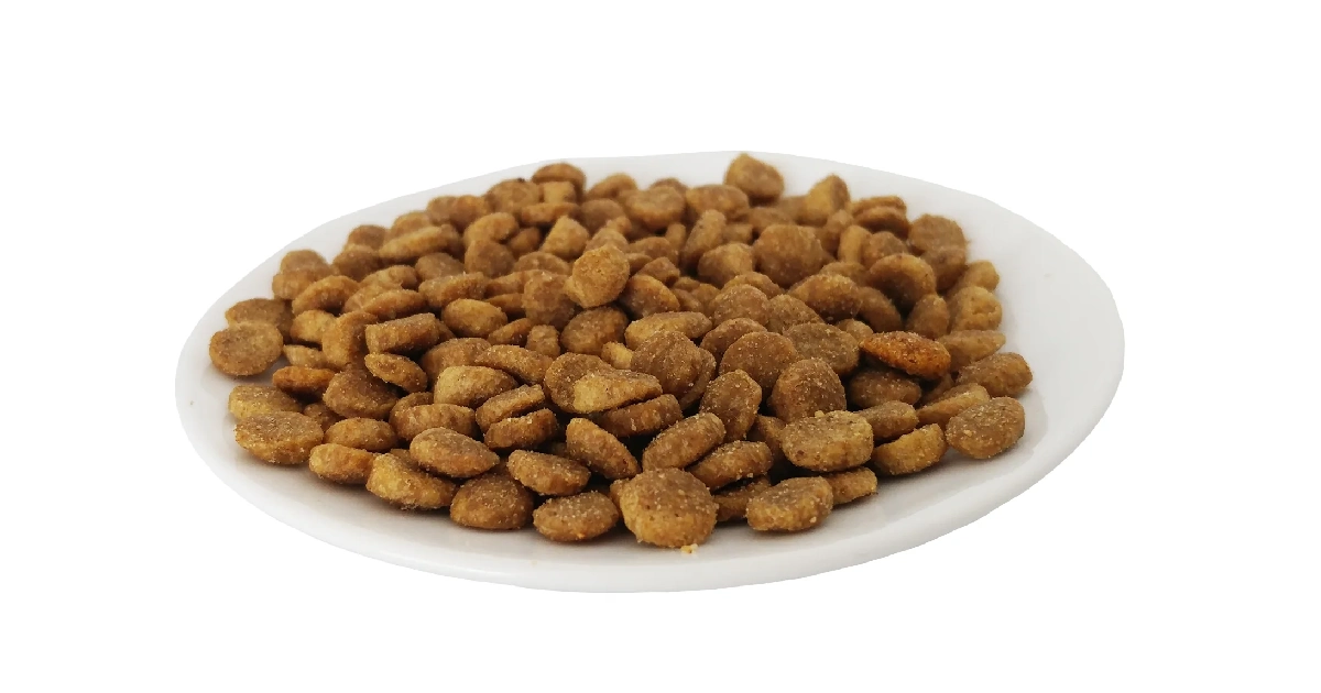 best soft dog food for older small dogs