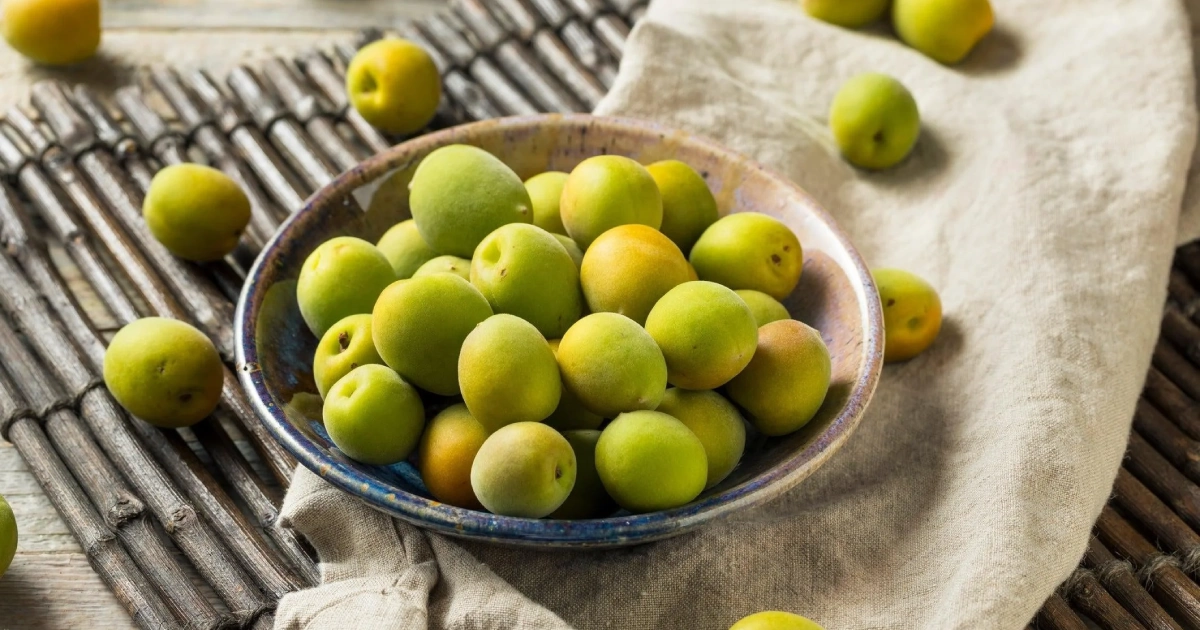 Sour Plum Health Benefits