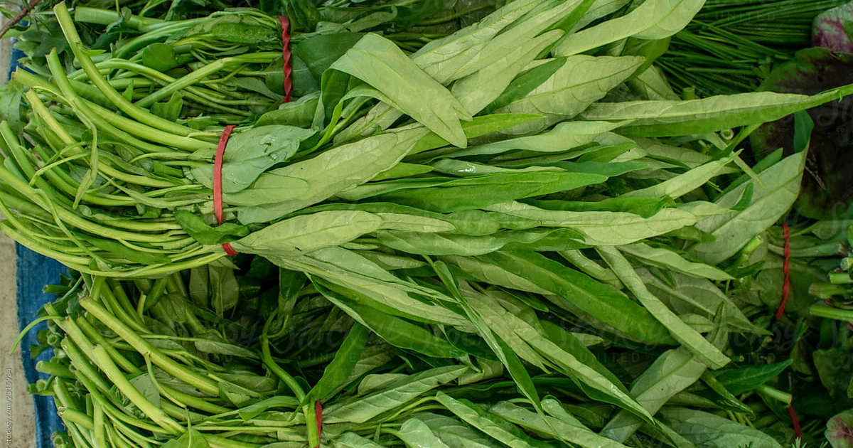 Varieties Of Water Spinach